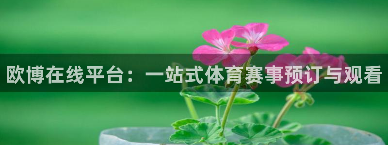 bbin视讯体育游戏：欧博在线平台：一站式体育赛事预订与观看