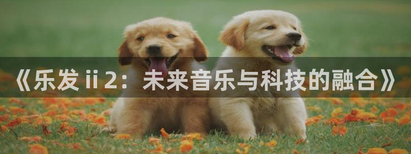 bbin视讯体育官网入口登录：《乐发ⅱ2：未来音乐与科技的融合》
