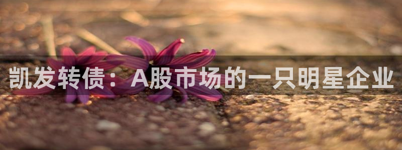 bbin视讯官网入口：凯发转债：A股市场的一只明星企业