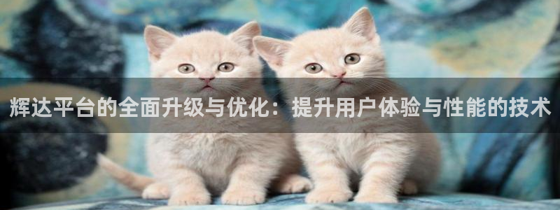 bbin视讯vk：辉达平台的全面升级与优化：提升用户体验与性能的技术