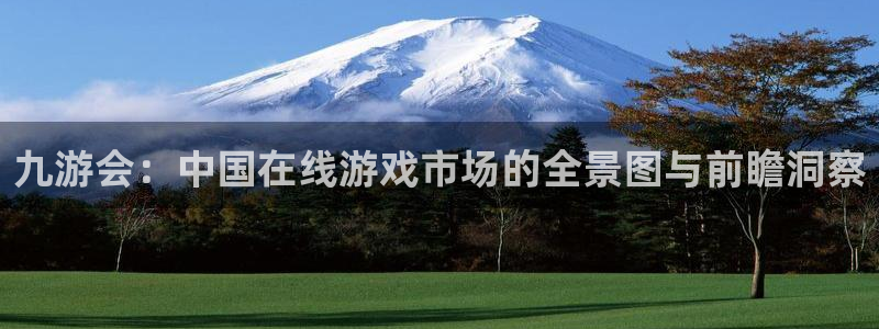 bbin视讯电子游戏网页版：九游会：中国在线游戏市场的全景图与前瞻洞察