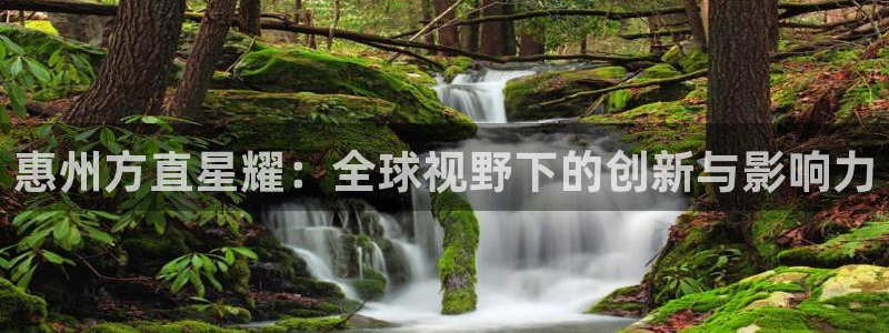 bbin视讯环保：惠州方直星耀：全球视野下的创新与影响力