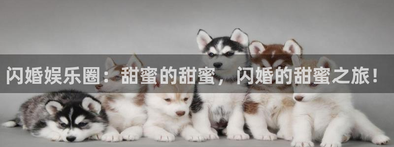 bbin视讯平台链接：闪婚娱乐圈：甜蜜的甜蜜，闪婚的甜蜜之旅！