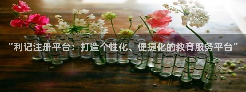 bbin视讯游戏：“利记注册平台：打造个性化、便捷化的教育服务平台”