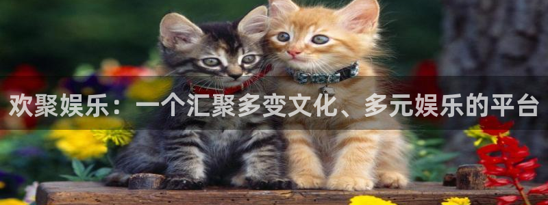 bbin视讯平台官方入口下载：欢聚娱乐：一个汇聚多变文化、多元娱乐的平台