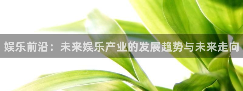 bbin视讯体育代理：娱乐前沿：未来娱乐产业的发展趋势与未来走向