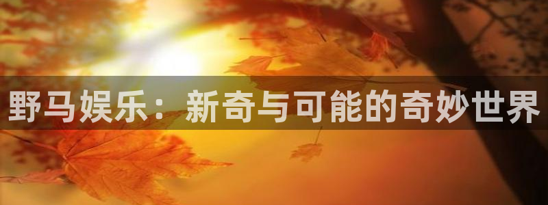 bbin视讯平台：野马娱乐：新奇与可能的奇妙世界