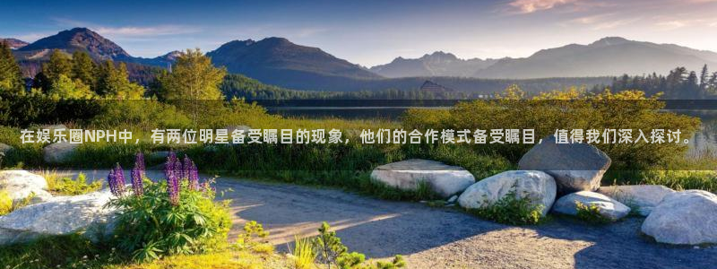 bbin视讯官网版下载：在娱乐圈NPH中，有两位明星备受瞩目的现象，他们的合作模
