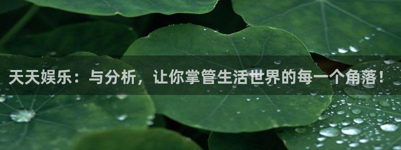 bbin视讯4：天天娱乐：与分析，让你掌管生活世界的每一个角落！