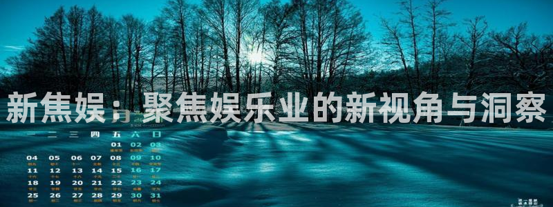 上海bbin视讯汽车电子有限公司：新焦娱：聚焦娱乐业的新视角与洞察