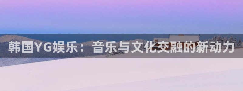 bbin视讯体育app下载：韩国YG娱乐：音乐与文化交融的新动力