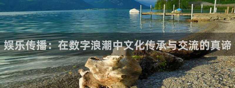 bbin视讯平台官网版最新：娱乐传播：在数字浪潮中文化传承与交流的真谛
