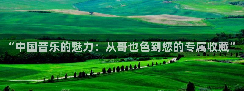 bbin视讯体育f开户：“中国音乐的魅力：从哥也色到您的专属收藏”
