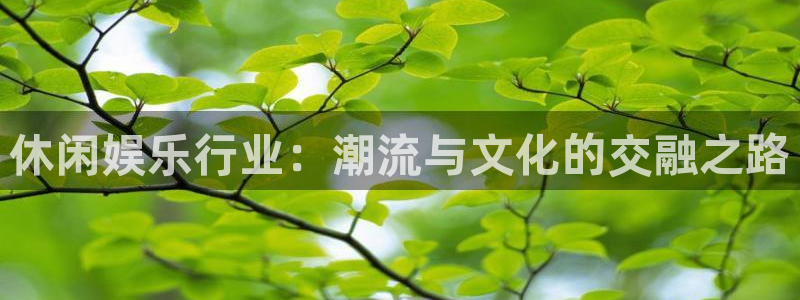 bbin视讯下载链接是多少：休闲娱乐行业：潮流与文化的交融之路